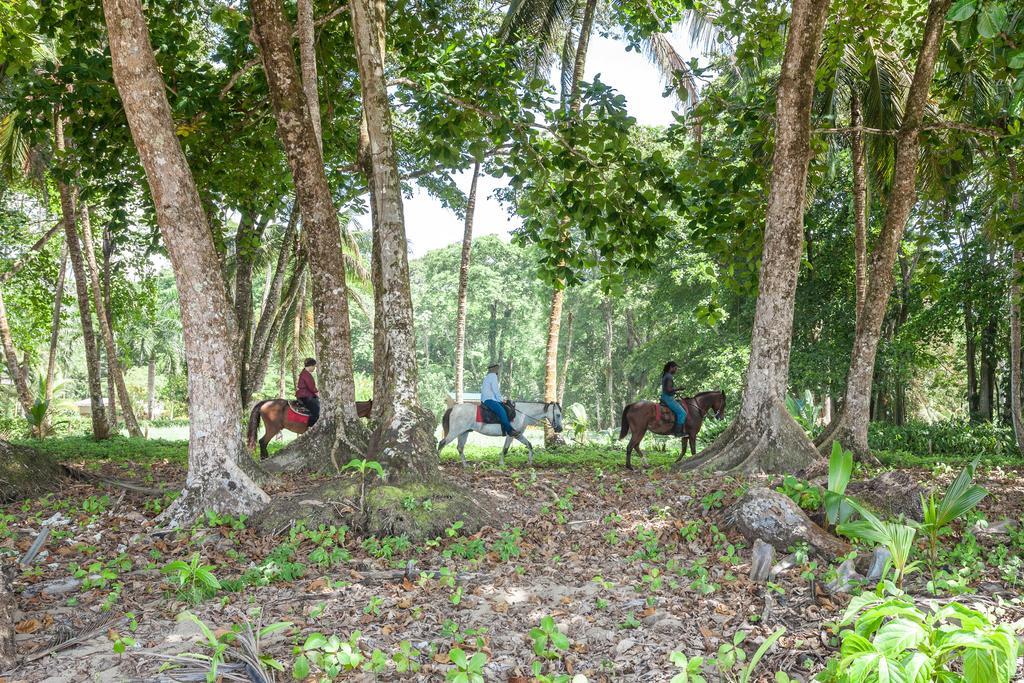 Relax Natural Village Adults Only Puerto Viejo de Talamanca Екстер'єр фото